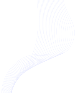 Wing shape decoration